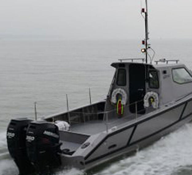C-Target 13 ASV